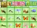 แมลงมาจองระดับหรู เกมออนไลน์ แมลงมาจองระดับหรู เกมออนไลน์