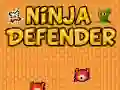 นินจาปกป้อง เกมออนไลน์ นินจาปกป้อง เกมออนไลน์