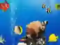ความแตกต่างใต้น้ำทะเล เกมออนไลน์ ความแตกต่างใต้น้ำทะเล เกมออนไลน์