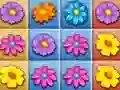 บดขยี้สวนดอกไม้ เกมออนไลน์ บดขยี้สวนดอกไม้ เกมออนไลน์