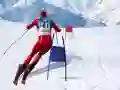 เกมจำลองสกีสลาลอม เกมออนไลน์ เกมจำลองสกีสลาลอม เกมออนไลน์