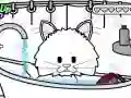 ขาอ่อนแอ: การดูแลลูกแมว เกมออนไลน์ ขาอ่อนแอ: การดูแลลูกแมว เกมออนไลน์