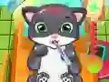 หมอแมว เกมออนไลน์ หมอแมว เกมออนไลน์