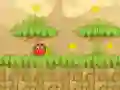 บอลกระดอนสีแดง 5 เกมออนไลน์