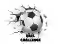 ความท้าทายลูกบอล เกมออนไลน์ ความท้าทายลูกบอล เกมออนไลน์