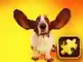 ปริศนาหมาน่าขำ เกมออนไลน์