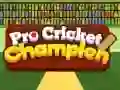 แชมป์คริกเก็ตโปร เกมออนไลน์