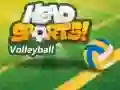 Head Sports วอลเลย์บอล เกมออนไลน์