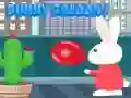 กระต่ายบอลลูน เกมออนไลน์ กระต่ายบอลลูน เกมออนไลน์