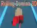 โดมิโนลูกกลิ้ง 3D เกมออนไลน์