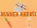 กระต่ายวิ่ง เกมออนไลน์ กระต่ายวิ่ง เกมออนไลน์