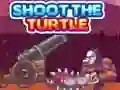 ยิงเต่าทะเล เกมออนไลน์
