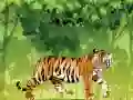 เสือโกรธระบายสี เกมออนไลน์