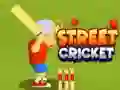 คริกเก็ตข้างถนน เกมออนไลน์