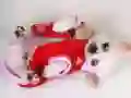 สไลด์ลูกสุนัขน่ารัก เกมออนไลน์