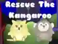 ช่วยเหลือจิงโจ้ เกมออนไลน์ ช่วยเหลือจิงโจ้ เกมออนไลน์