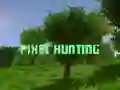 การล่าพิกเซล เกมออนไลน์