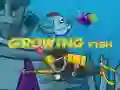 ปลาที่กำลังโต เกมออนไลน์ ปลาที่กำลังโต เกมออนไลน์
