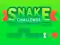 ความท้าทายงู เกมออนไลน์ ความท้าทายงู เกมออนไลน์