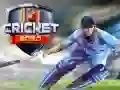 คริกเก็ต 2020 เกมออนไลน์ คริกเก็ต 2020 เกมออนไลน์