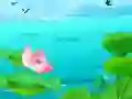 สไลด์ดอกบัว เกมออนไลน์