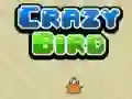 นกบ้า เกมออนไลน์ นกบ้า เกมออนไลน์