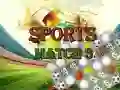 กีฬาผสม 3 ระดับพรีเมียม เกมออนไลน์ กีฬาผสม 3 ระดับพรีเมียม เกมออนไลน์