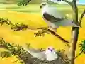 จิ๊กซอว์นกนักล่า เกมออนไลน์
