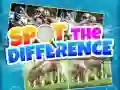 หาความแตกต่าง เกมออนไลน์ หาความแตกต่าง เกมออนไลน์