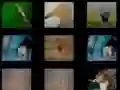 ความทรงจำสัตว์ เกมออนไลน์ ความทรงจำสัตว์ เกมออนไลน์