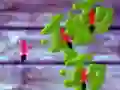 ทุบมด เกมออนไลน์ ทุบมด เกมออนไลน์