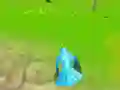เกมจำลองนกแก้ว เกมออนไลน์ เกมจำลองนกแก้ว เกมออนไลน์