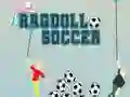 ฟุตบอล Ragdoll เกมออนไลน์