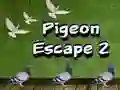 หนีของนกพิราบ 2 เกมออนไลน์ หนีของนกพิราบ 2 เกมออนไลน์