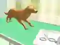 ดูแลเท้า เกมออนไลน์