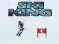 ราชาแห่งการสกี เกมออนไลน์ ราชาแห่งการสกี เกมออนไลน์