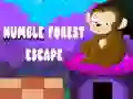 การหลบหนีที่เรียบง่ายจากป่า เกมออนไลน์ การหลบหนีที่เรียบง่ายจากป่า เกมออนไลน์