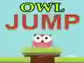การกระโดดของนกฮูก เกมออนไลน์