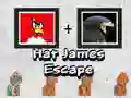 การหลบหนีของเจมส์กับหมวก เกมออนไลน์ การหลบหนีของเจมส์กับหมวก เกมออนไลน์