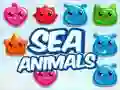 สัตว์ทะเล เกมออนไลน์ สัตว์ทะเล เกมออนไลน์