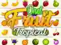 Onet ผลไม้เขตร้อน เกมออนไลน์ Onet ผลไม้เขตร้อน เกมออนไลน์