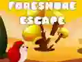 การหลบหนีจากชายฝั่ง เกมออนไลน์ การหลบหนีจากชายฝั่ง เกมออนไลน์