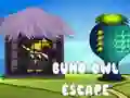 Buho นกเค้าแมวหลบหนี เกมออนไลน์ Buho นกเค้าแมวหลบหนี เกมออนไลน์