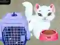 การดูแลสัตว์เลี้ยงของเบบี้เทย์เลอร์ เกมออนไลน์ การดูแลสัตว์เลี้ยงของเบบี้เทย์เลอร์ เกมออนไลน์