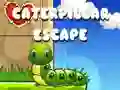 การหลบหนีของหนอน เกมออนไลน์ การหลบหนีของหนอน เกมออนไลน์