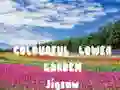 จิ๊กซอว์สวนดอกไม้หลากสี เกมออนไลน์ จิ๊กซอว์สวนดอกไม้หลากสี เกมออนไลน์