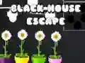 หนีจากบ้านสีดำ เกมออนไลน์ หนีจากบ้านสีดำ เกมออนไลน์