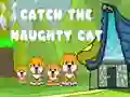 จับแมวซน เกมออนไลน์ จับแมวซน เกมออนไลน์