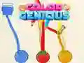 อัจฉริยะสี เกมออนไลน์ อัจฉริยะสี เกมออนไลน์