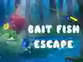 การหลบหนีของปลาหมาย เกมออนไลน์ การหลบหนีของปลาหมาย เกมออนไลน์